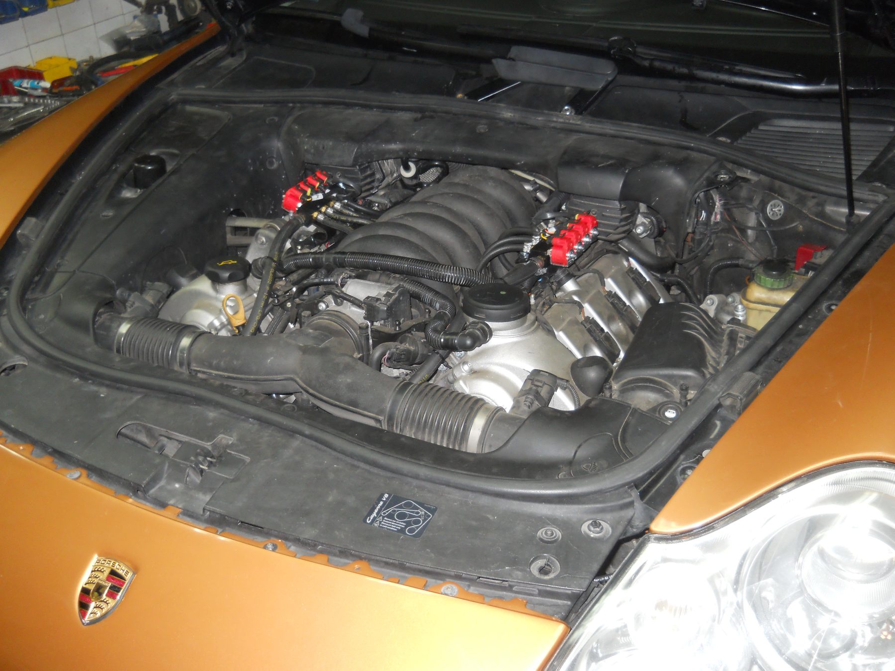 Sekvencijalni sistem autogasa TNG